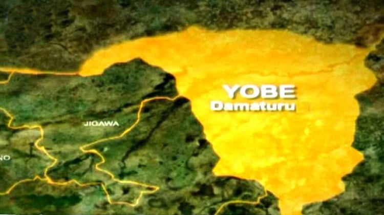 Five family members die in tragic Yobe road accident