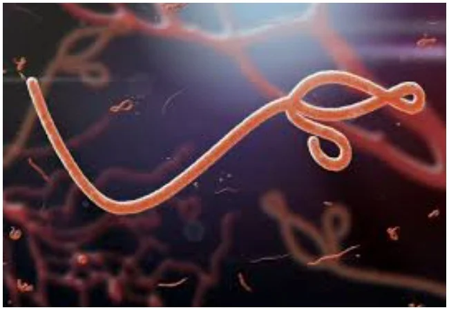NCDC places Lagos, FCT, others on high Ebola alert