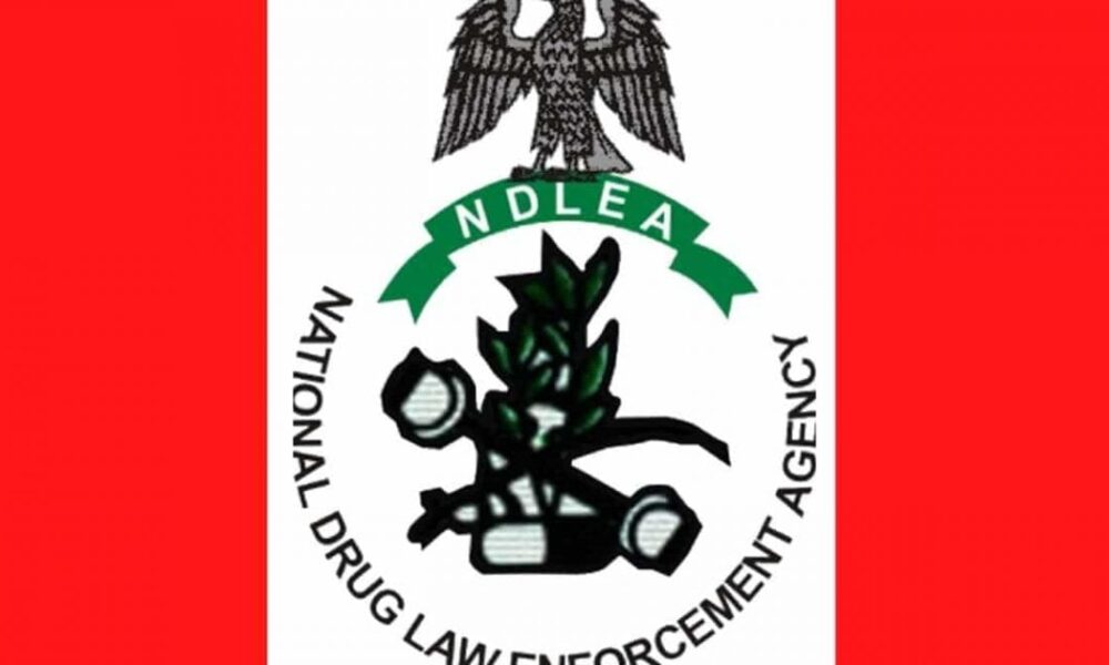 Nigeria Seizes $363 Million Worth of Meth in Major Anti-Drug Operation