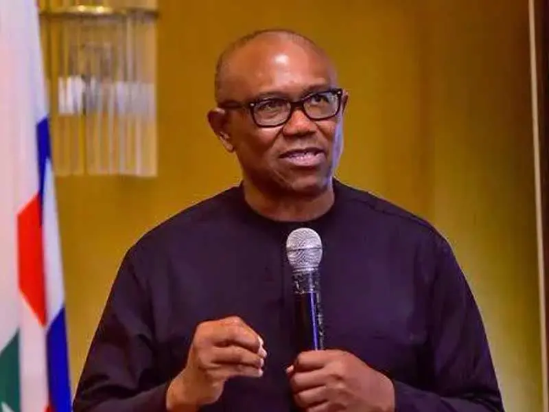 Nigeria weighed down by avoidable challenges – Peter Obi