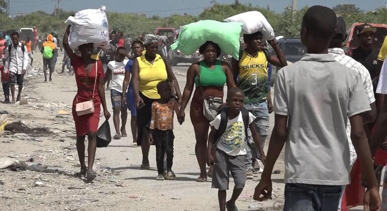 Haiti: UN rights office welcomes new judicial units to tackle gang violence and impunity