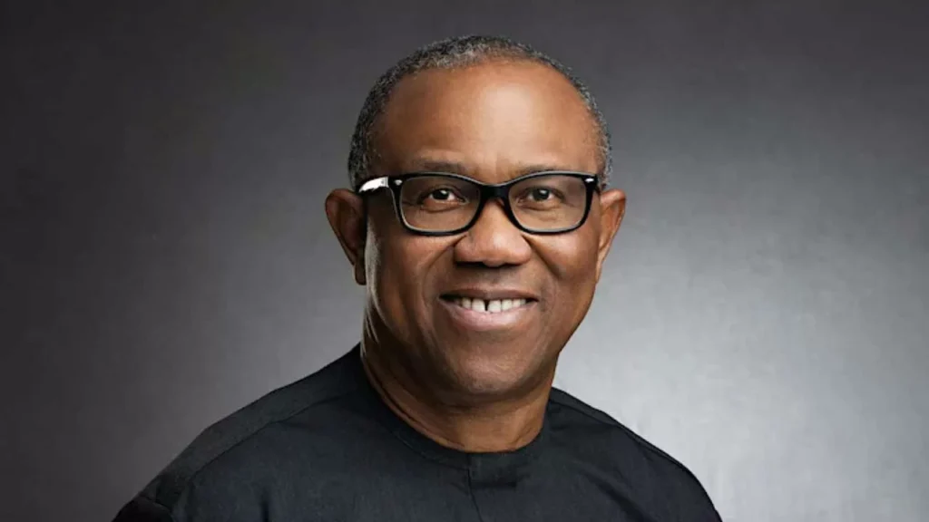 NDC speaks on handling 2027 primaries dispute, Peter Obi’s leadership in South-east