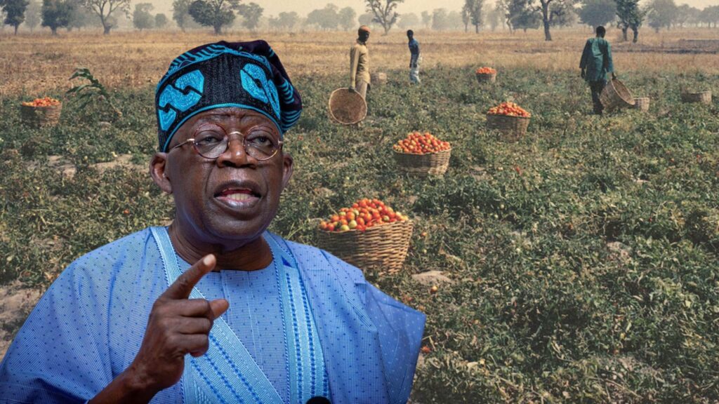 Nigeria secures 449,000 metric tonnes of fertiliser inputs to boost food security