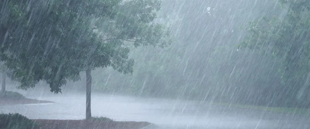 Seven healthy habits to adopt during rainy season
