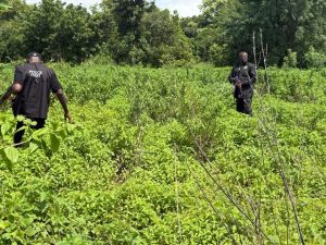 Police rescue kidnapped mother, two-year-old son in Kwara