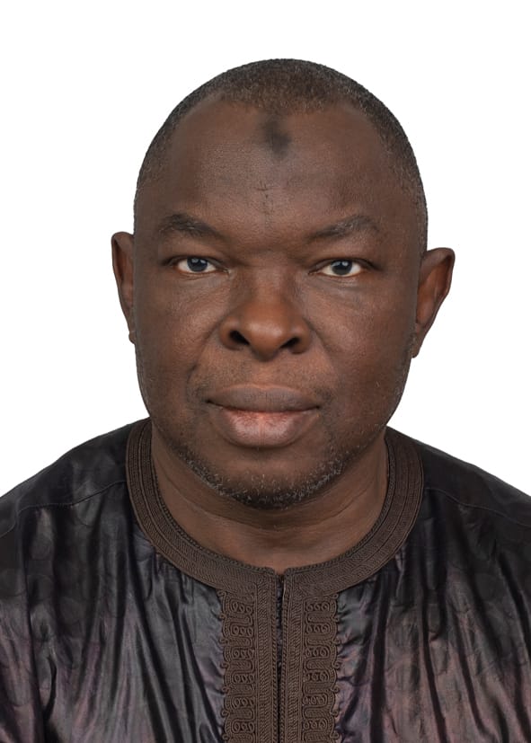 ANC and the failure of the Black Renaissance, By Ahmed Aminu-Ramatu Yusuf