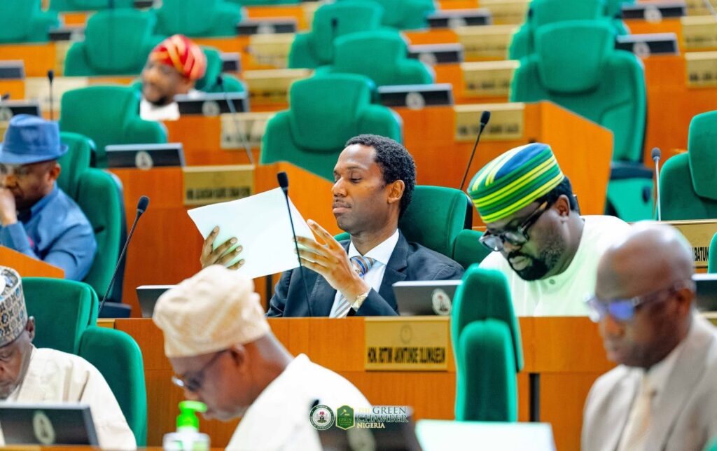 Lawmakers ask Nigerian govt to halt rehabilitation of repentant terrorists