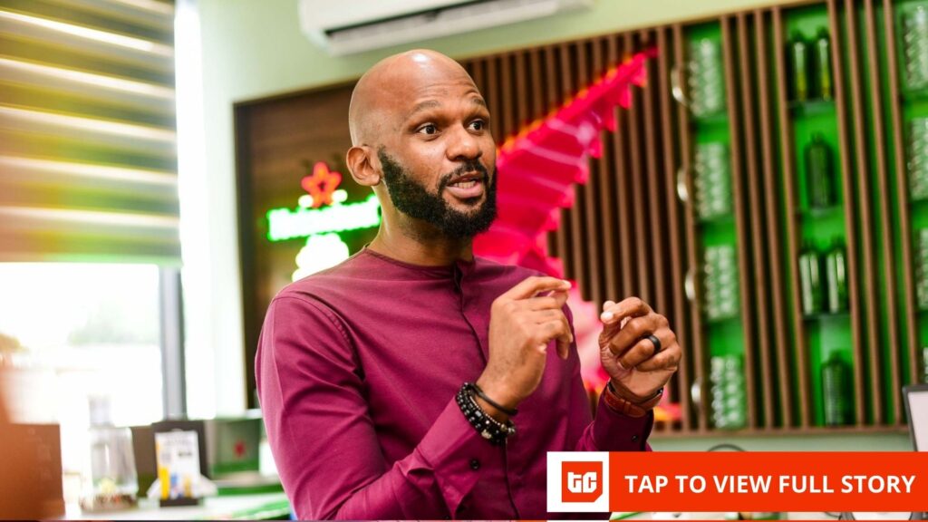 Nigeria’s ntel bets future on telecom infrastructure, not subscribers