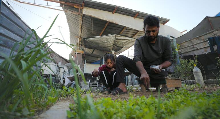 Gaza: Only three per cent of cropland available to grow food