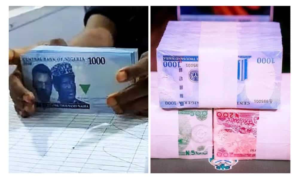 Naira Appreciates to N1,337 Per Dollar on Stronger Reserve, Positive