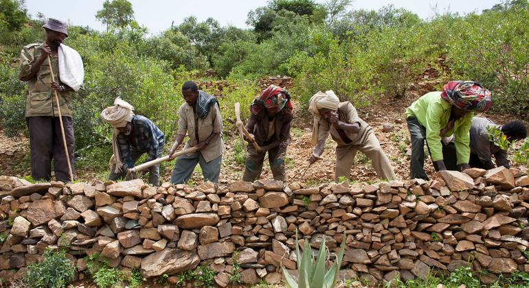 Protecting our ‘most vital infrastructure’: Pushing back on desertification