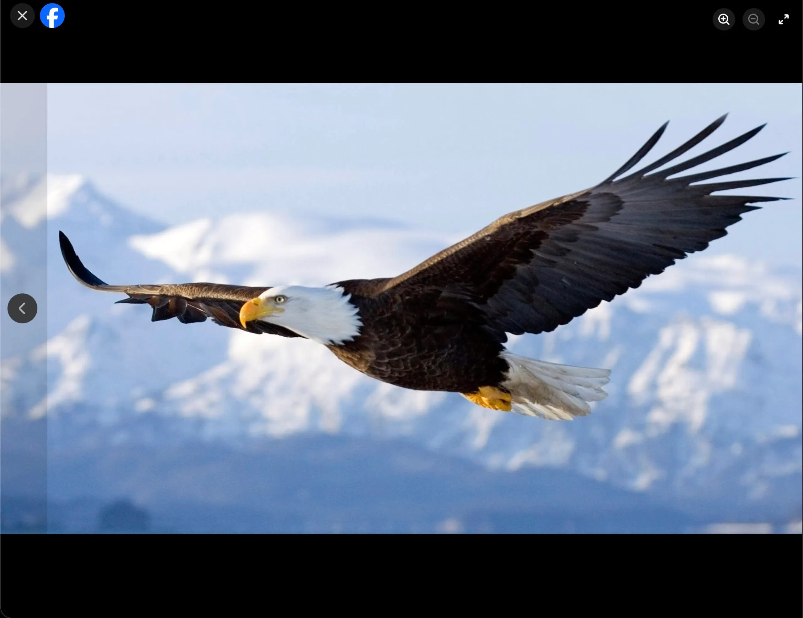 Screenshot of Eagle used by Mr Erubure on his Facebook profile indicating his likely association with Eagleworker