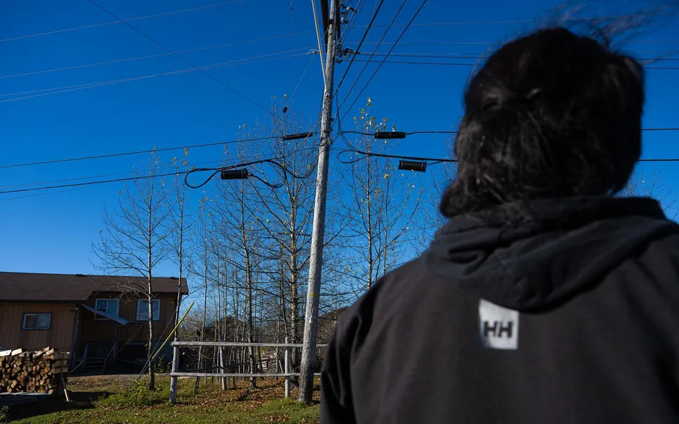 A photo shows a man standing on a street and looking up at a utility pole.  