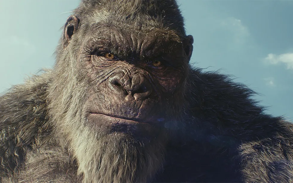 Close-up of a realistic 3D-animated King Kong gorilla\u2019s face. 