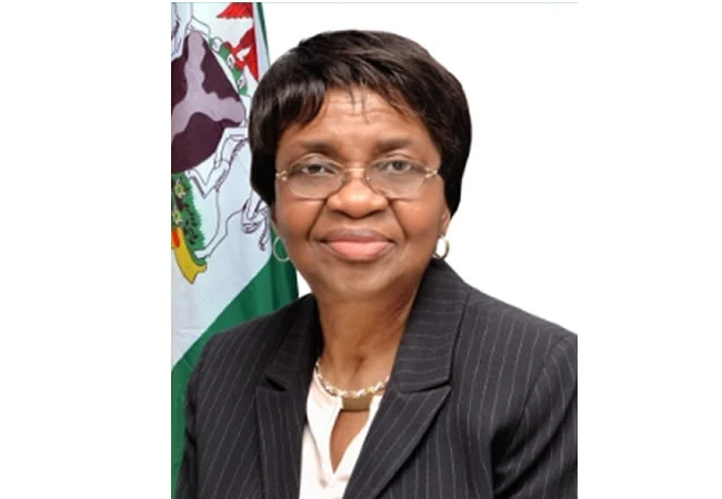 NAFDAC destroyed N1.5tn fake products in three years – DG