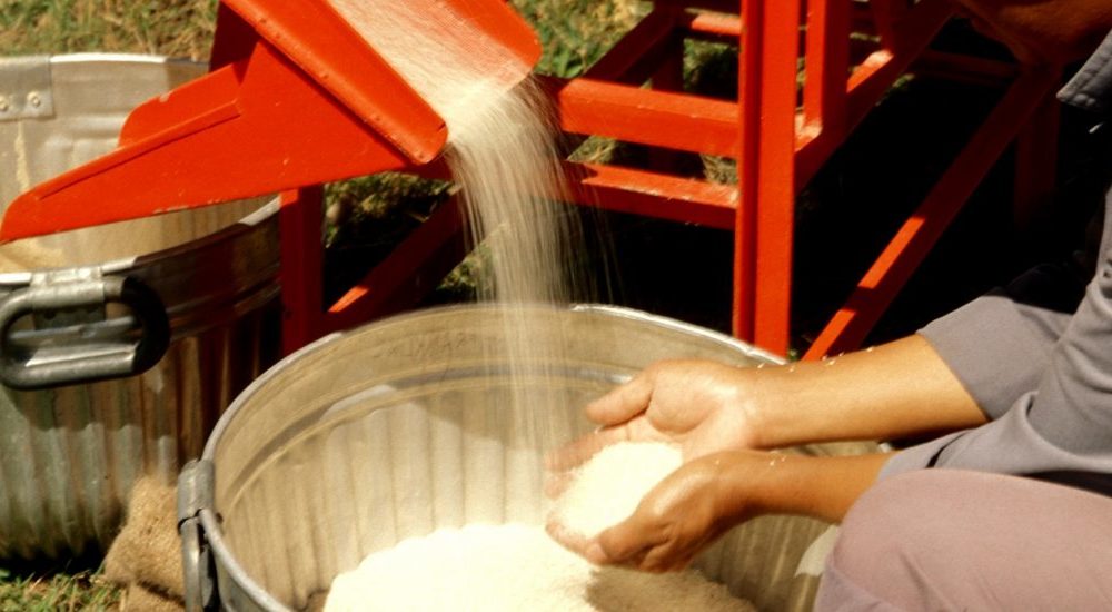 Northern Nigeria Flour Mills Ratifies Three Directors, Re-Elects Coumantaros, Gwarzo, Umolu