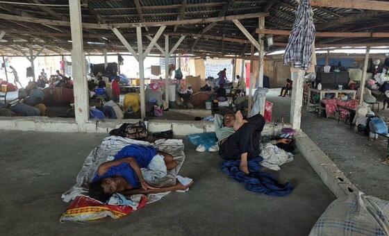 Haiti sanctions renewed: Starving the gangs of bullets