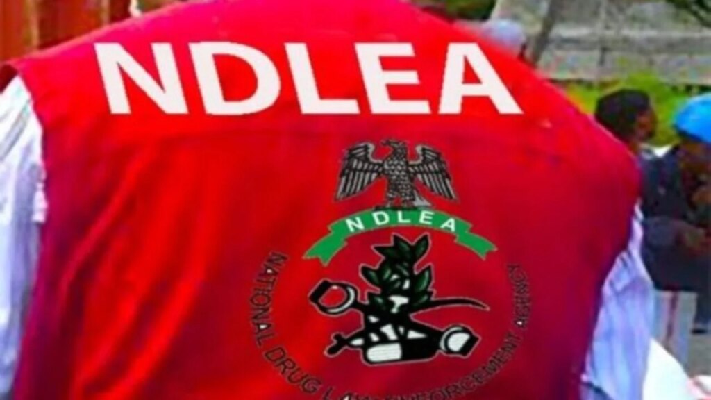 NDLEA intercepts Italy-bound businessman with cocaine consignments