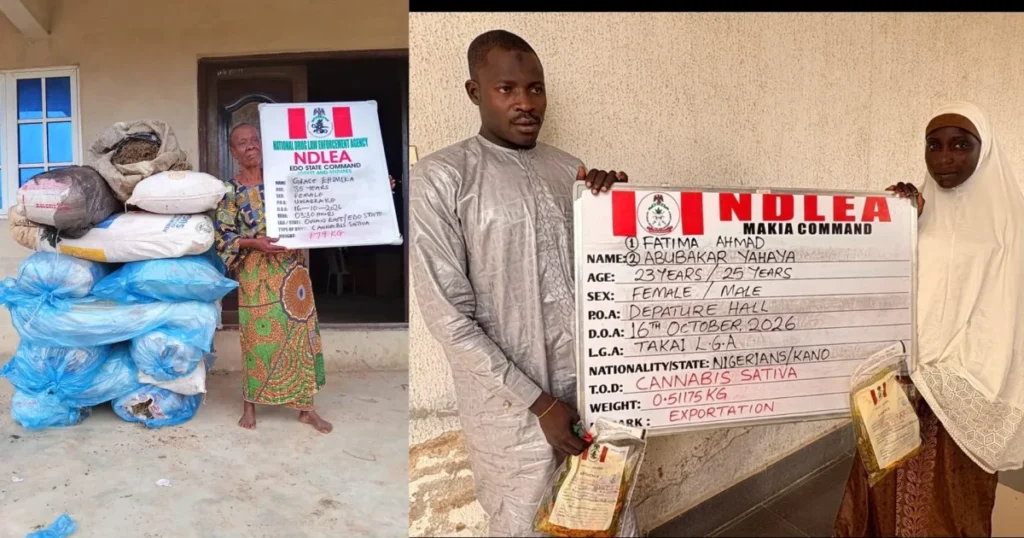 NDLEA intercepts Saudi-bound cannabis, ₦6.98bn tramadol