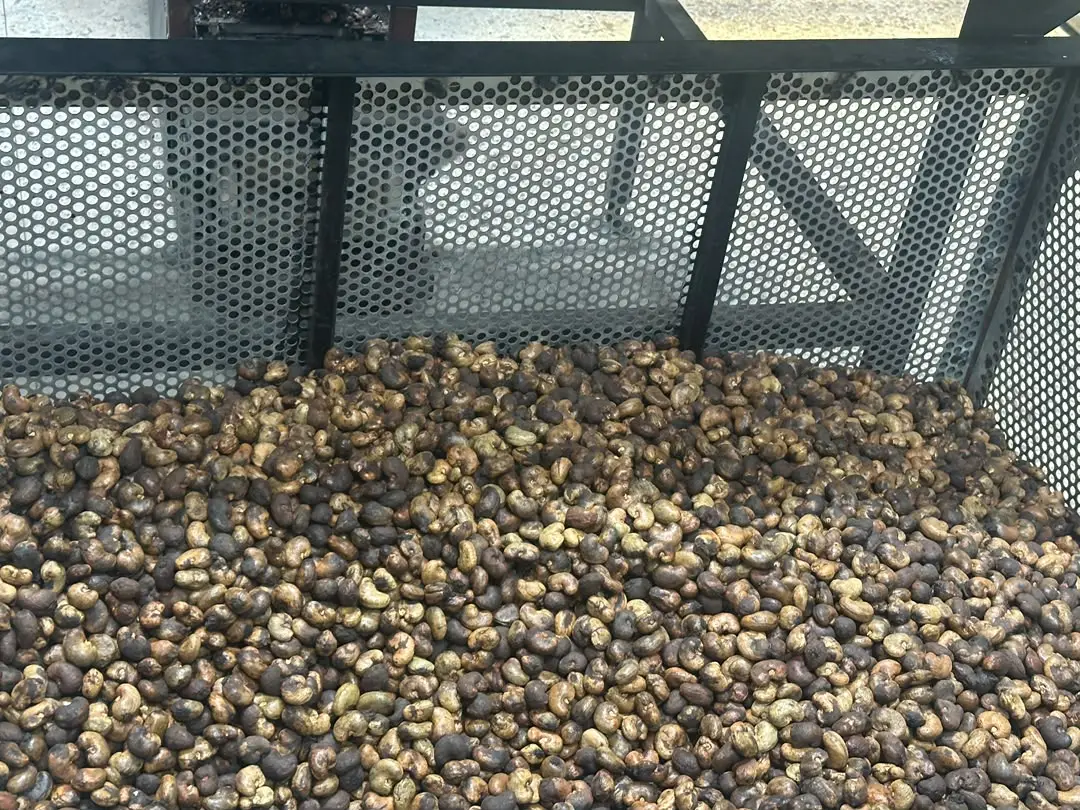 She'll-on Cashewnuts